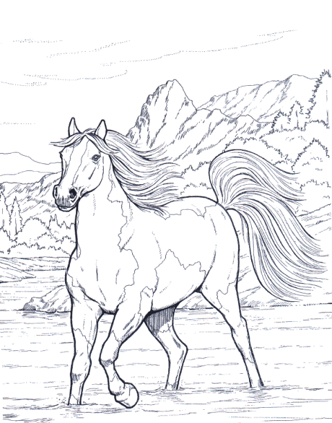 desenhos de cavalos