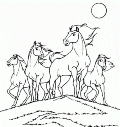 desenhos de cavalos